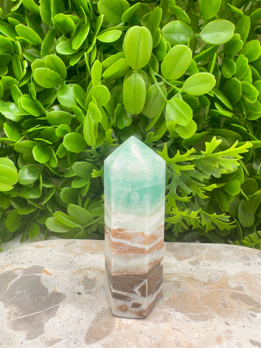 Aragonite PT 214g