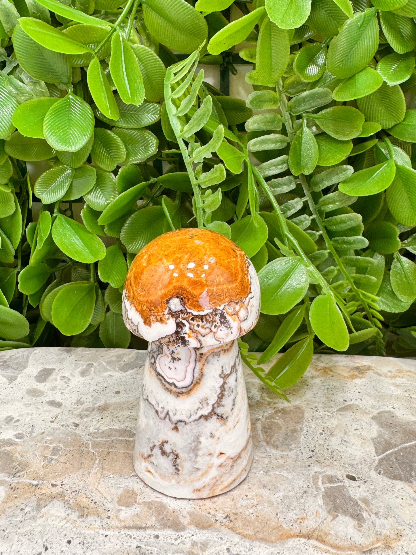 Dendritic Ocean Root Jasper mushroom 149g