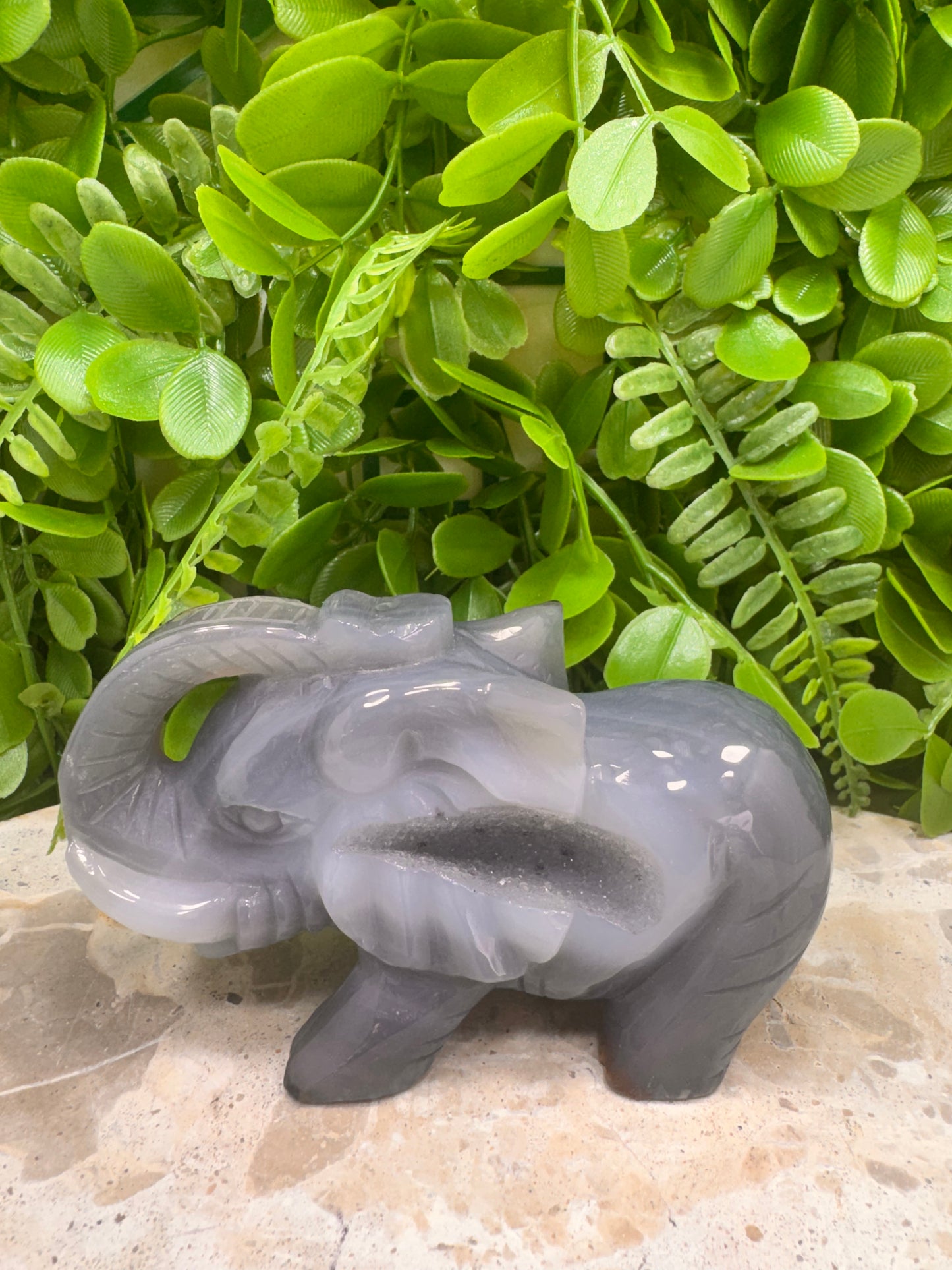 Drusy Agate Elephant 373g