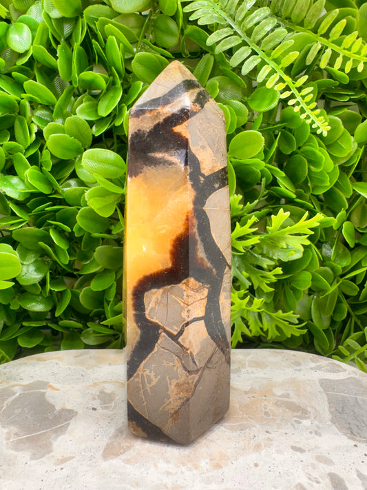 Septarian Tower 910g