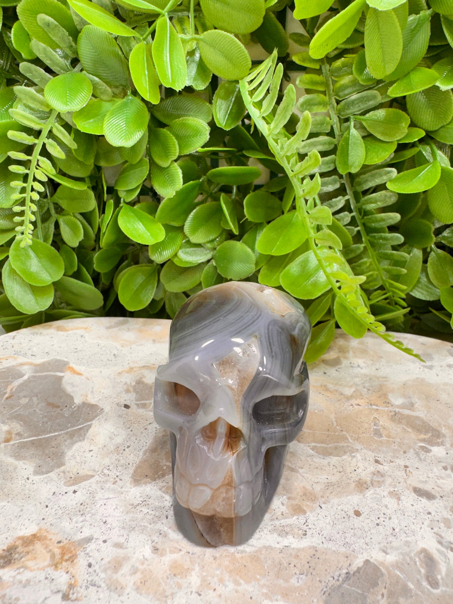 Agate Druzy Skull 262g