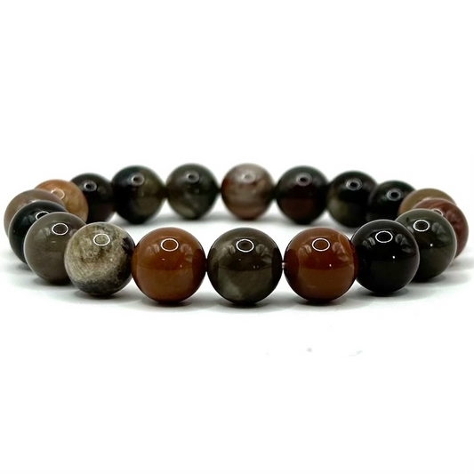 Petrified Wood Bracelet 8mm