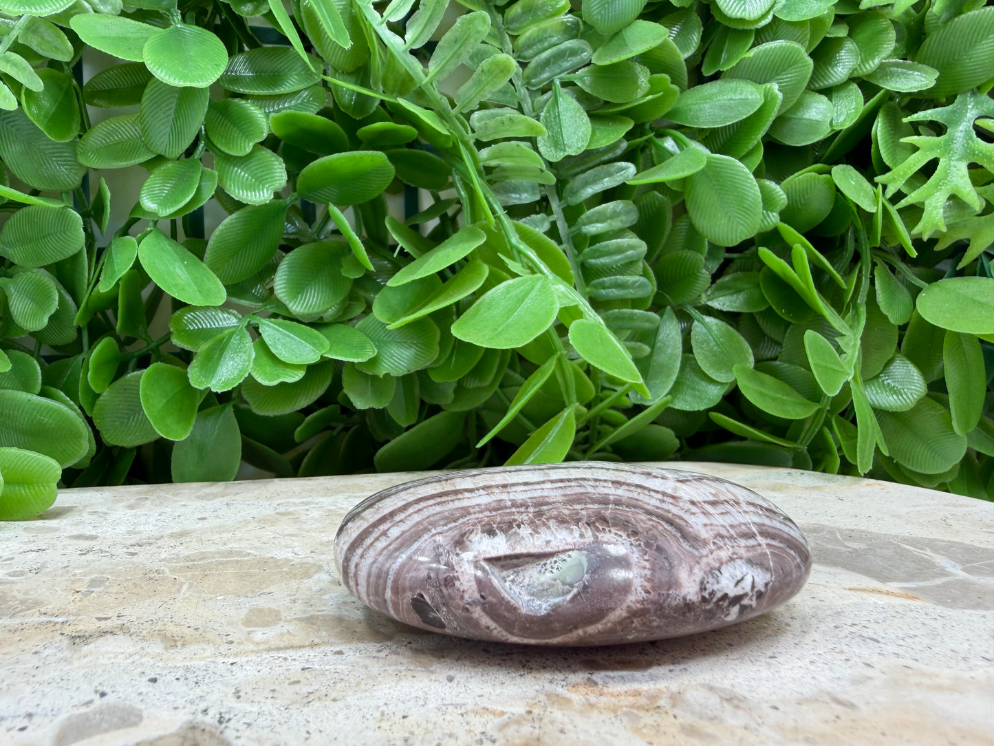 Chocolate Aragonite Palm Stone 84g