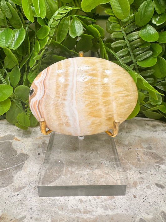 Pineapple Calcite Palm Stone 170g