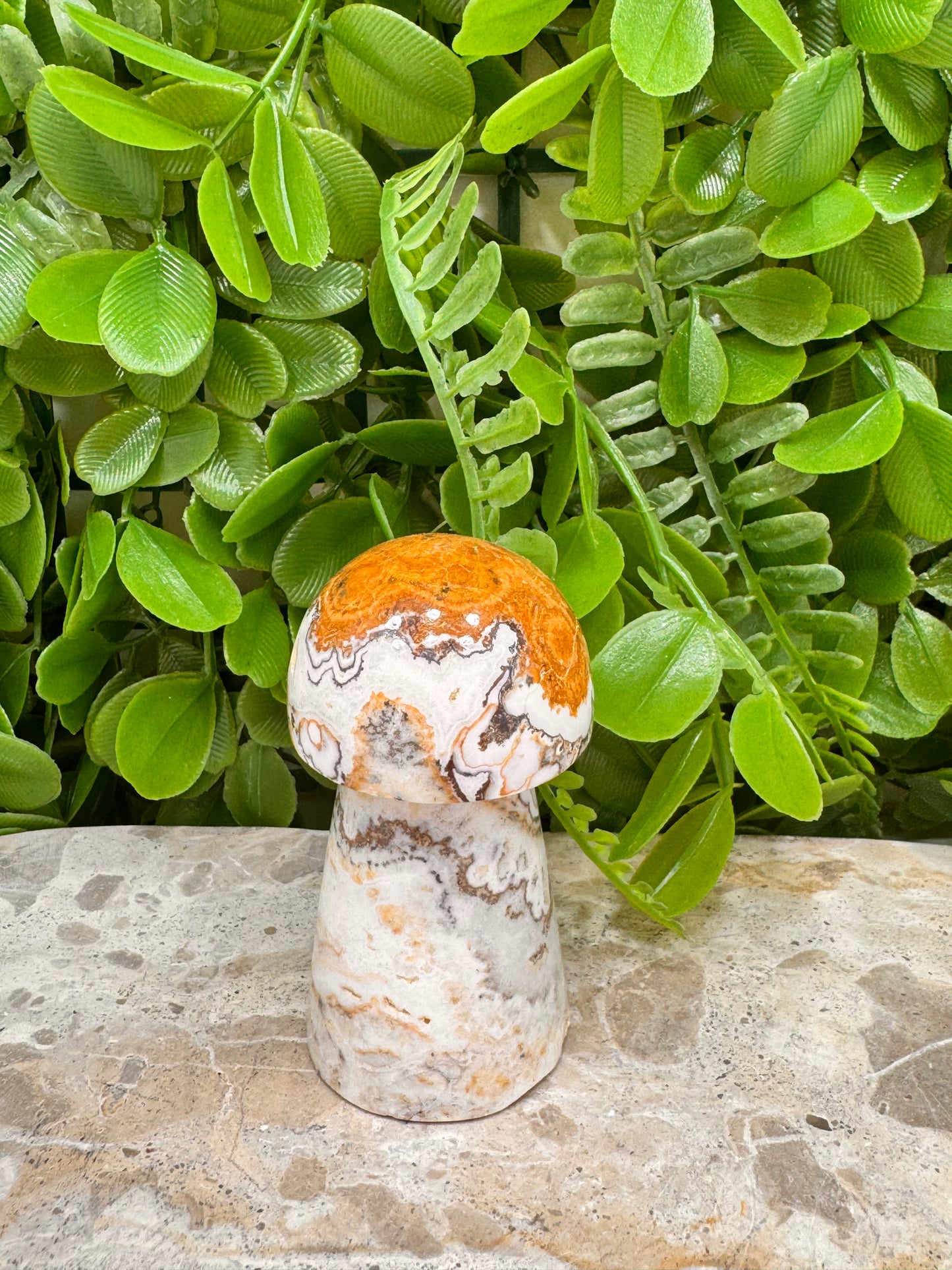 Dendritic Ocean Root Jasper mushroom 149g