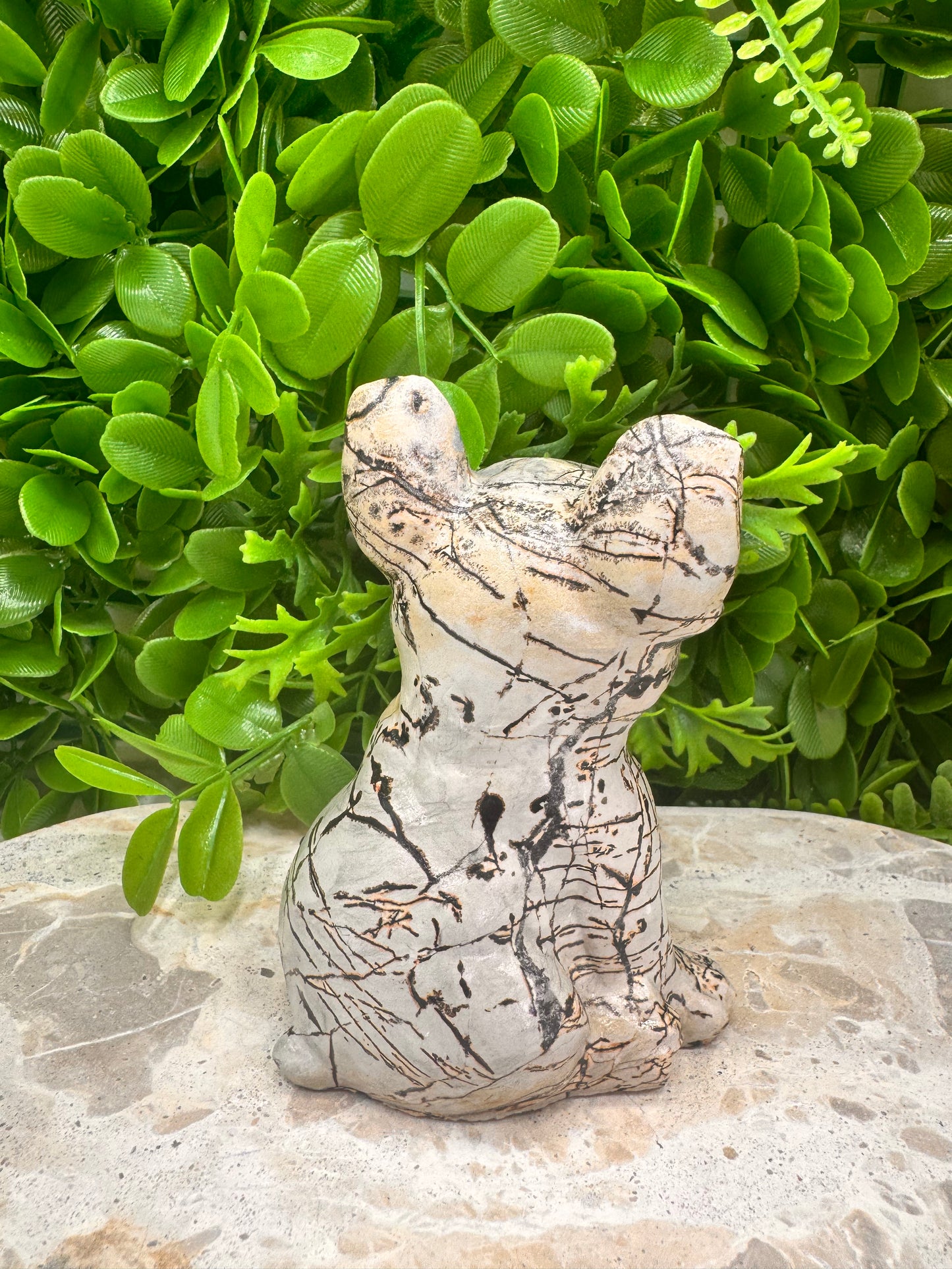 Picture Jasper French Bulldog 517g