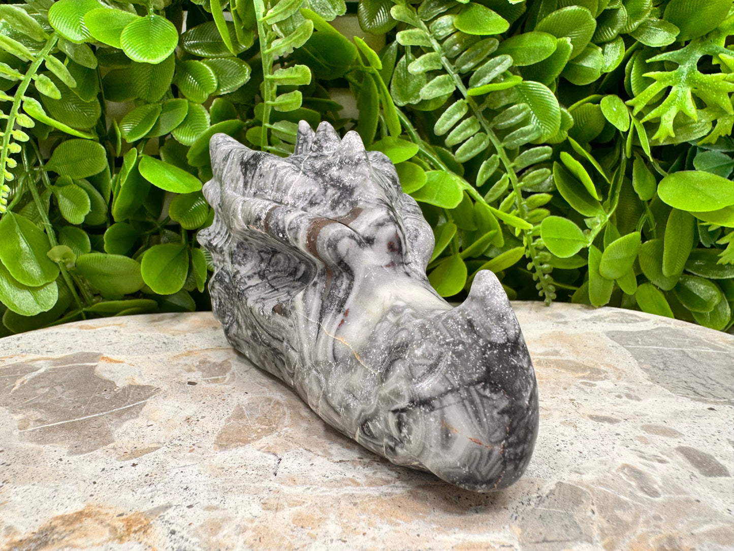 Fossil Dragons Skull 512g