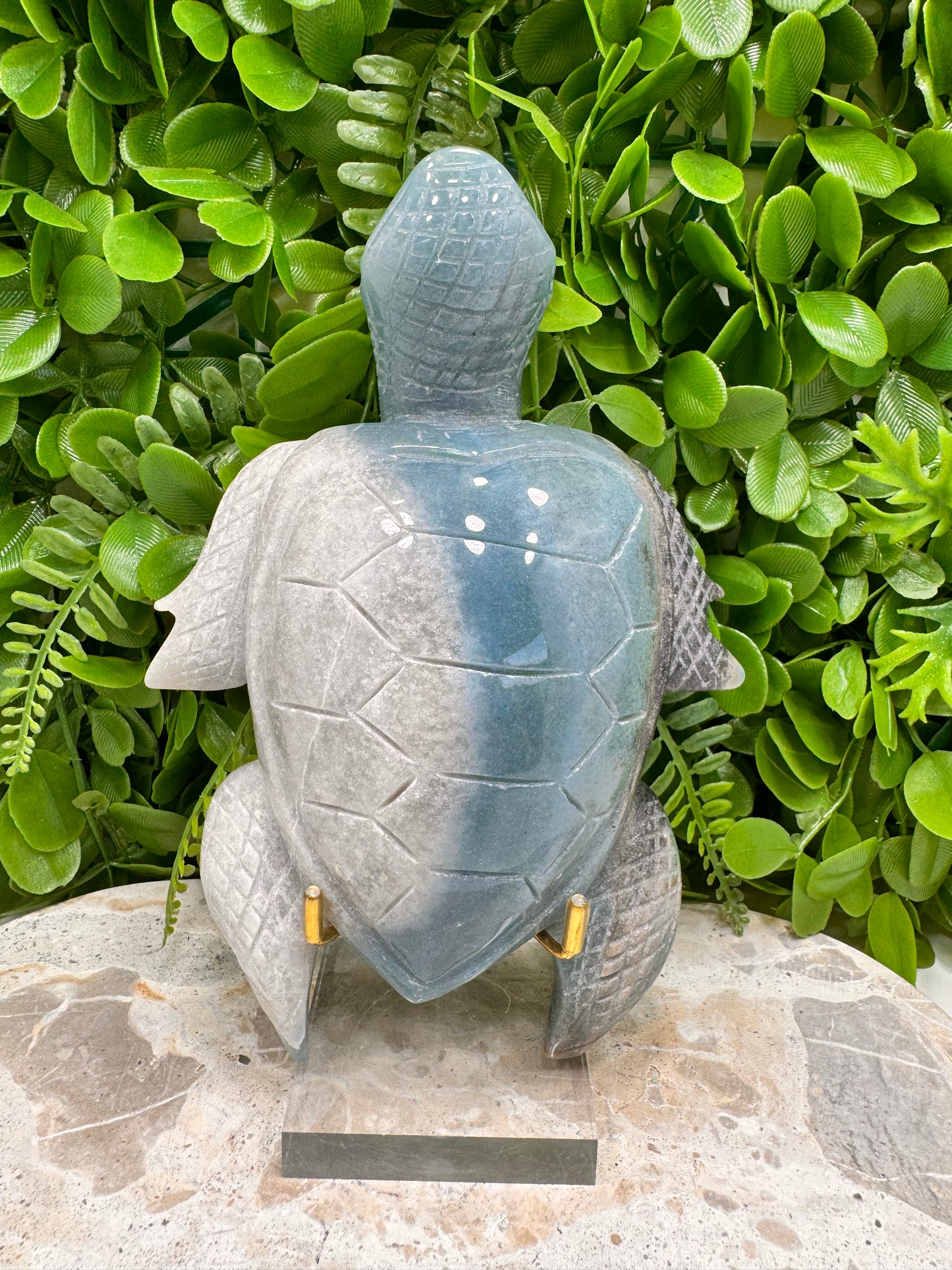 Trolleite Turtle 750G
