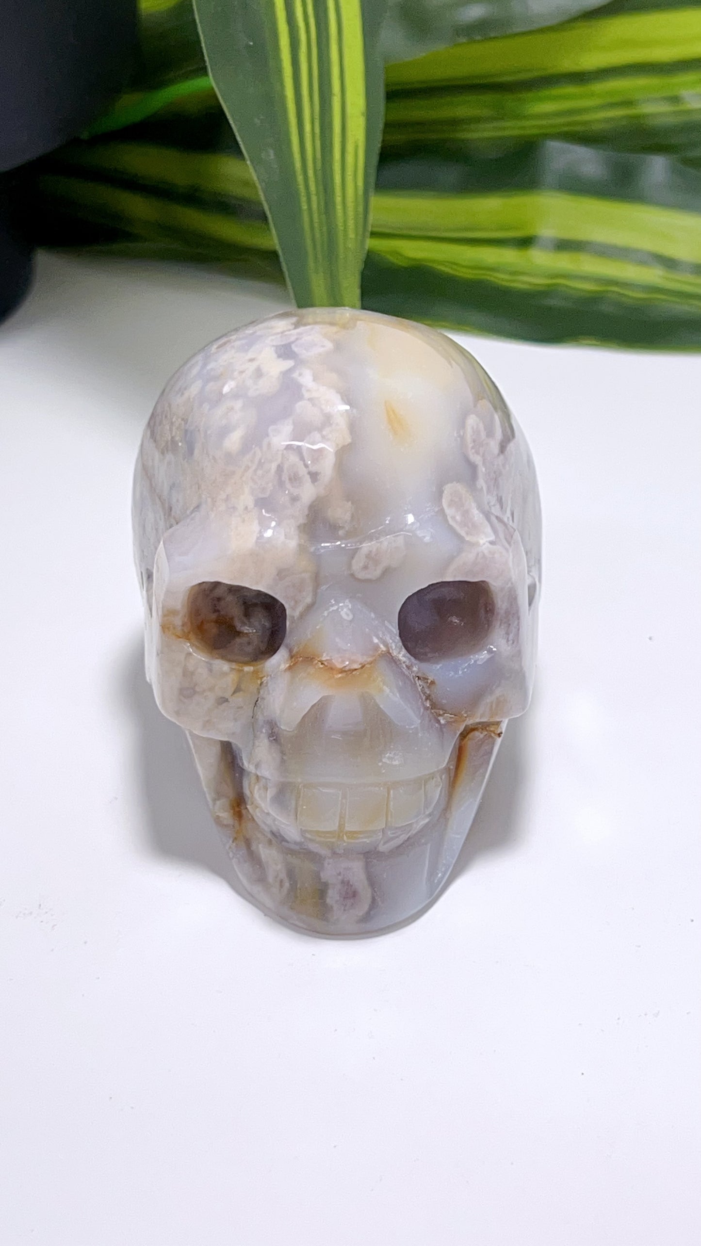 Flower Agate Skull 578G