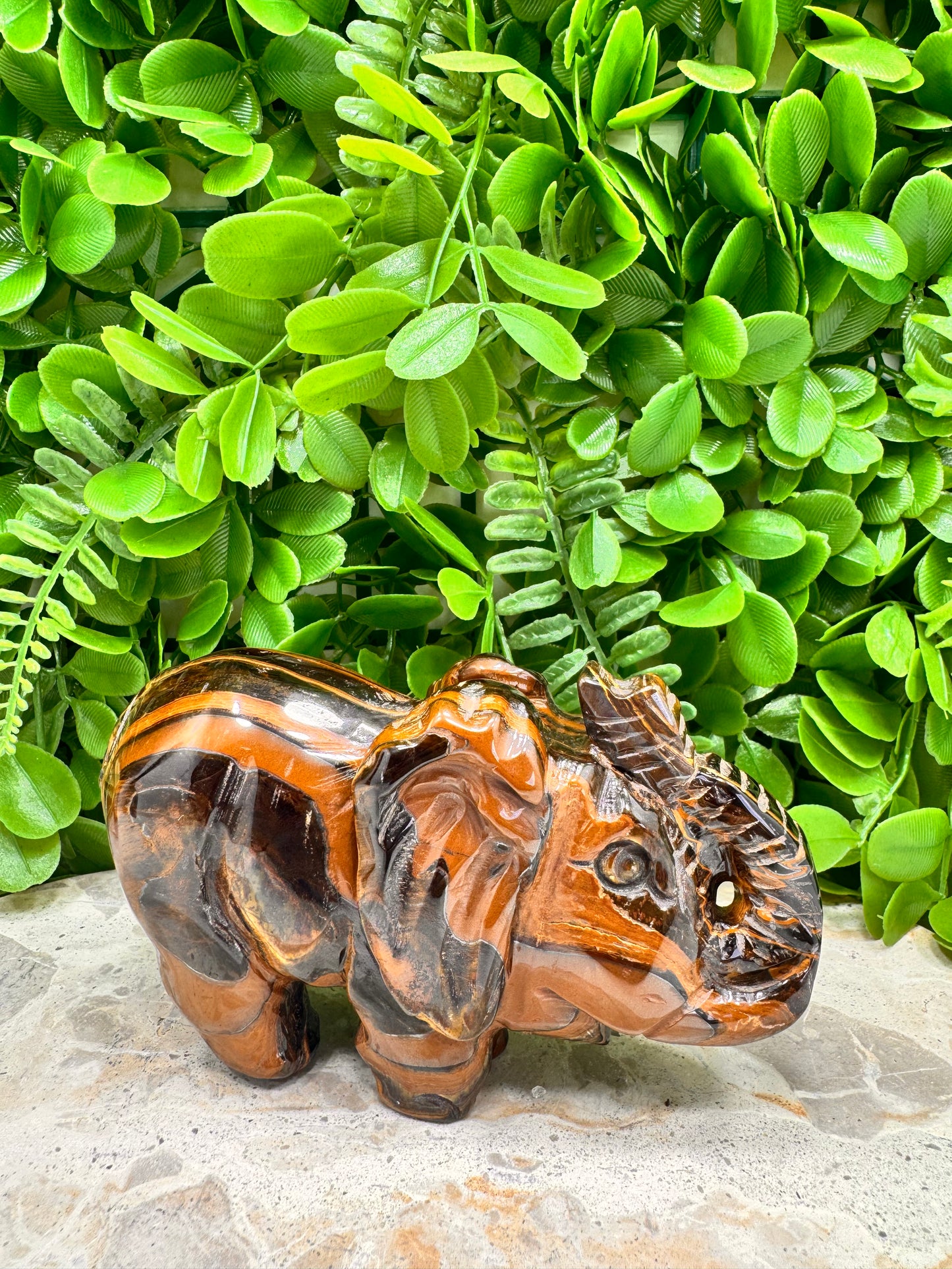 Tiger Eye/Tiger Ore Elephant 704g