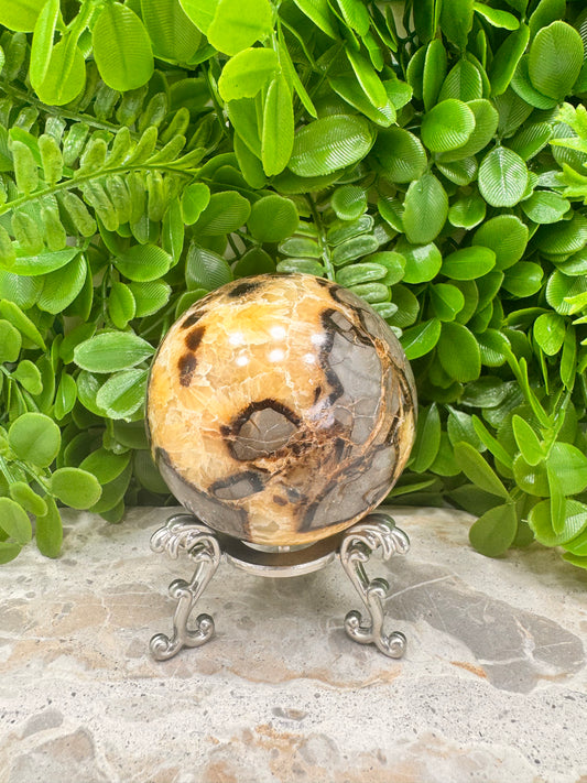 Septarian Sphere 584g
