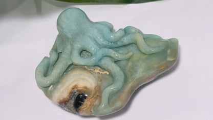 Amazonite Octopus Carving 600g