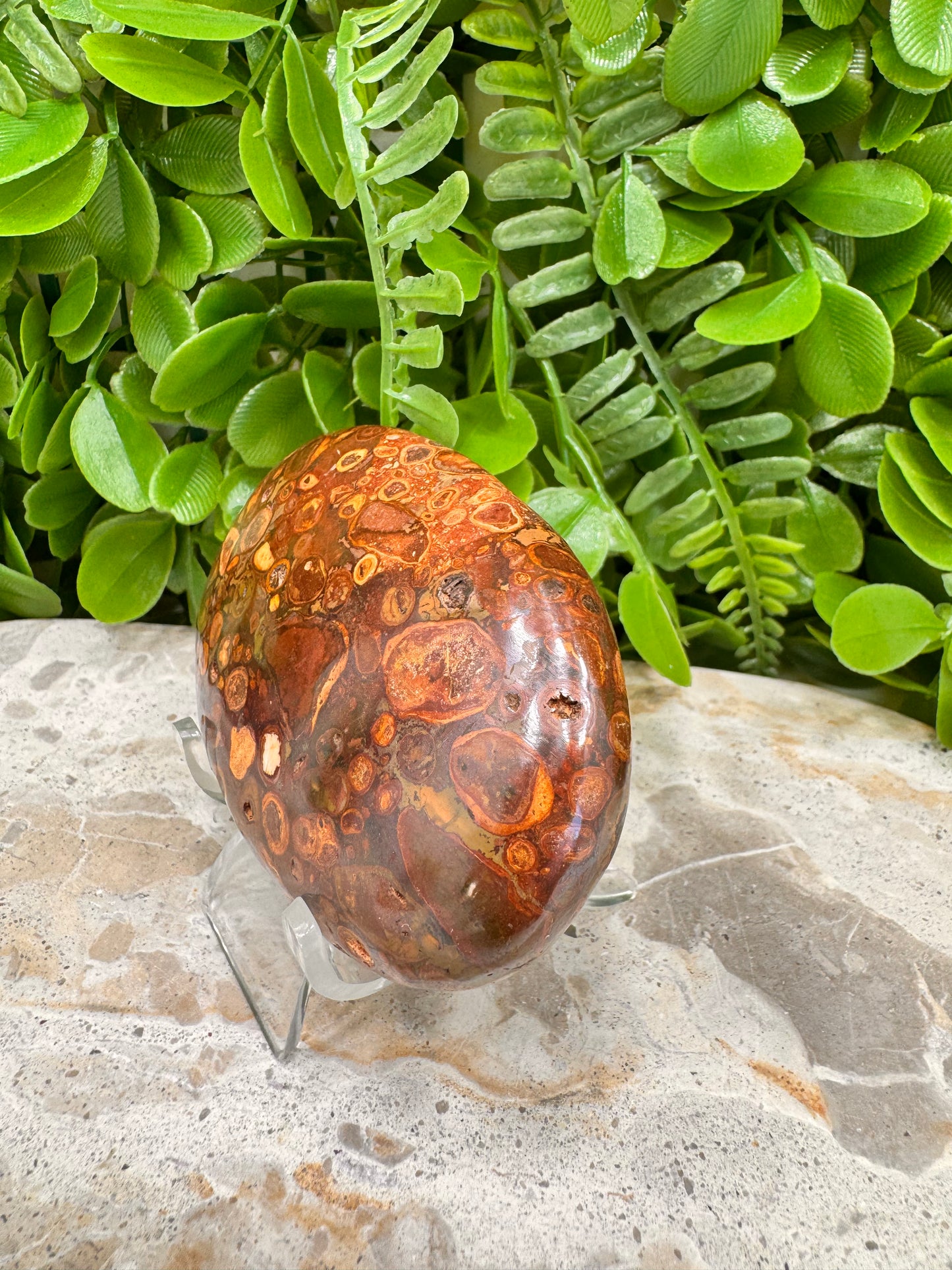 Coral Fossil Japser Palmstone 192g