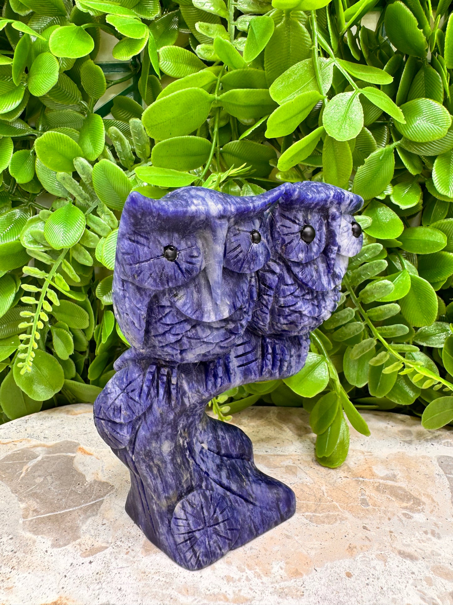 Twin Owl Sodalite 530g