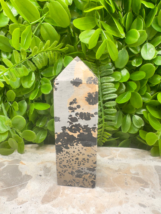 Picture Jasper Tower 258g