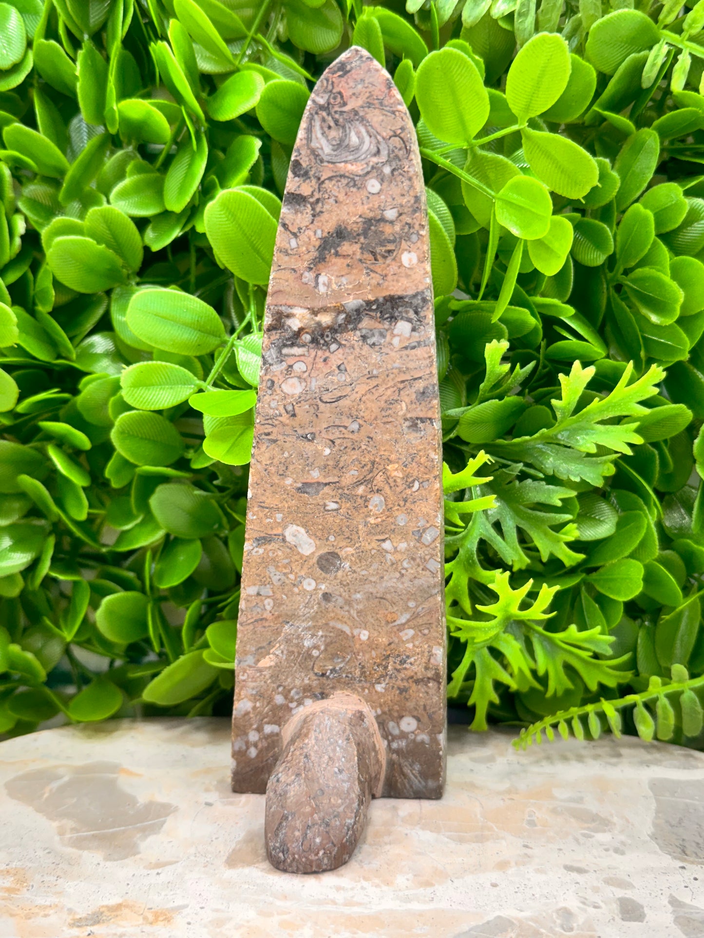 Orthoceras Standing Fossil 280g