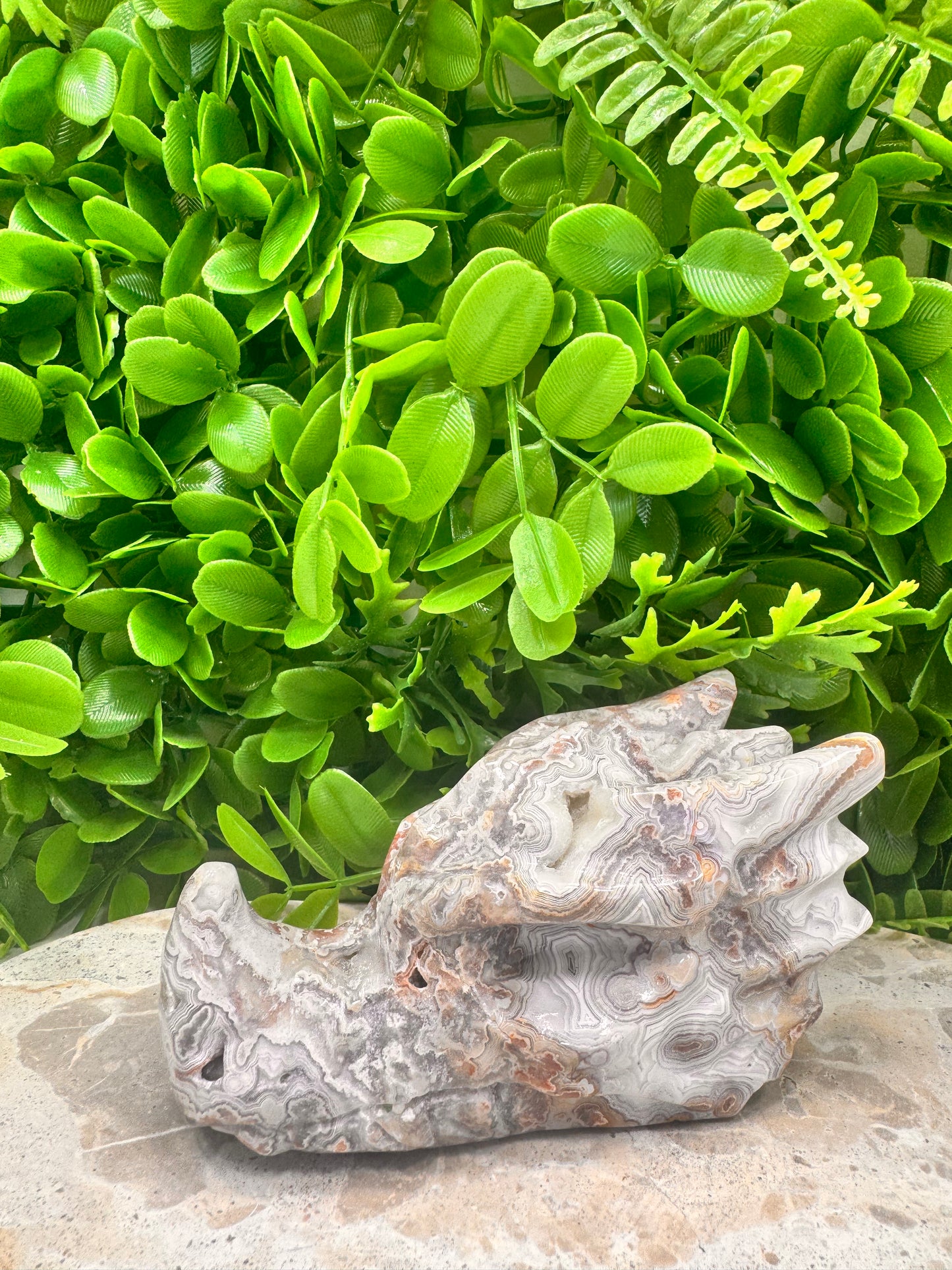 Mexican Agate Druzy Dragon Skull 570g