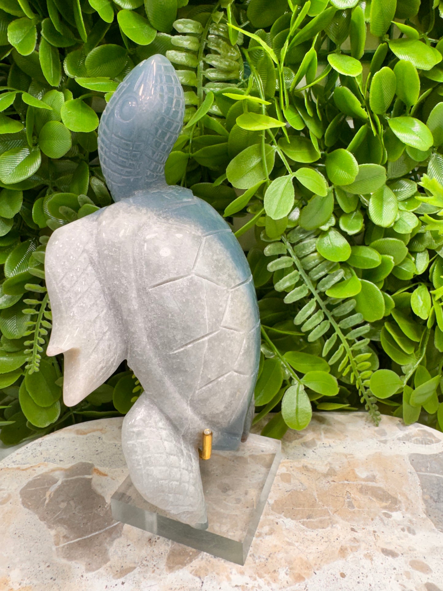 Trolleite Turtle 750G