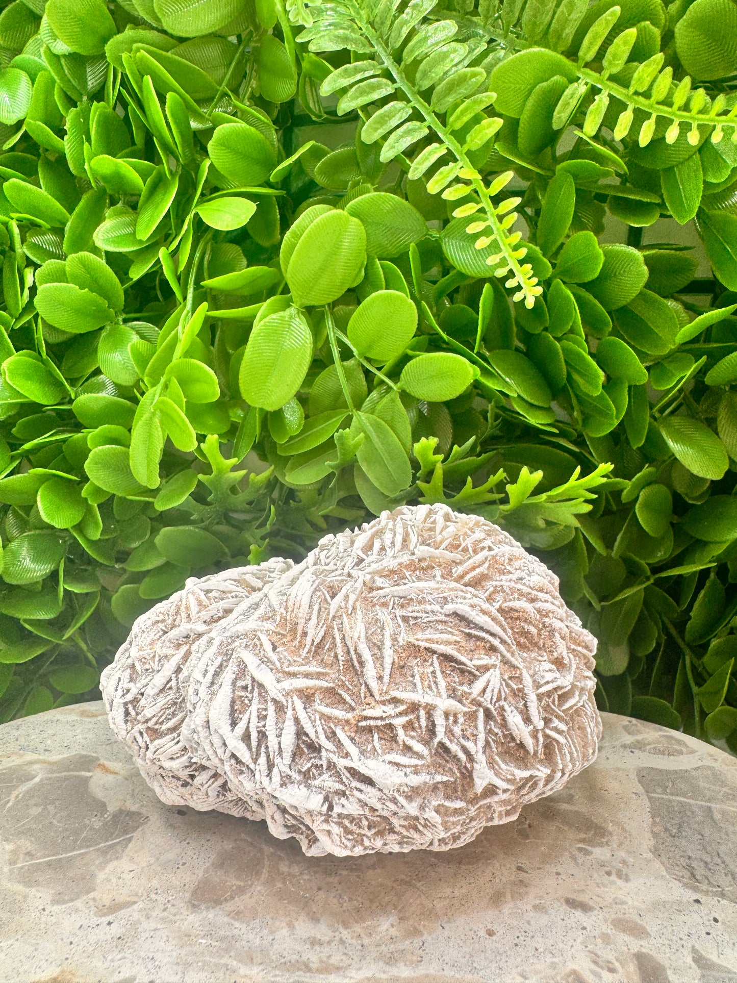 Desert Rose Selenite Cluster  1004g