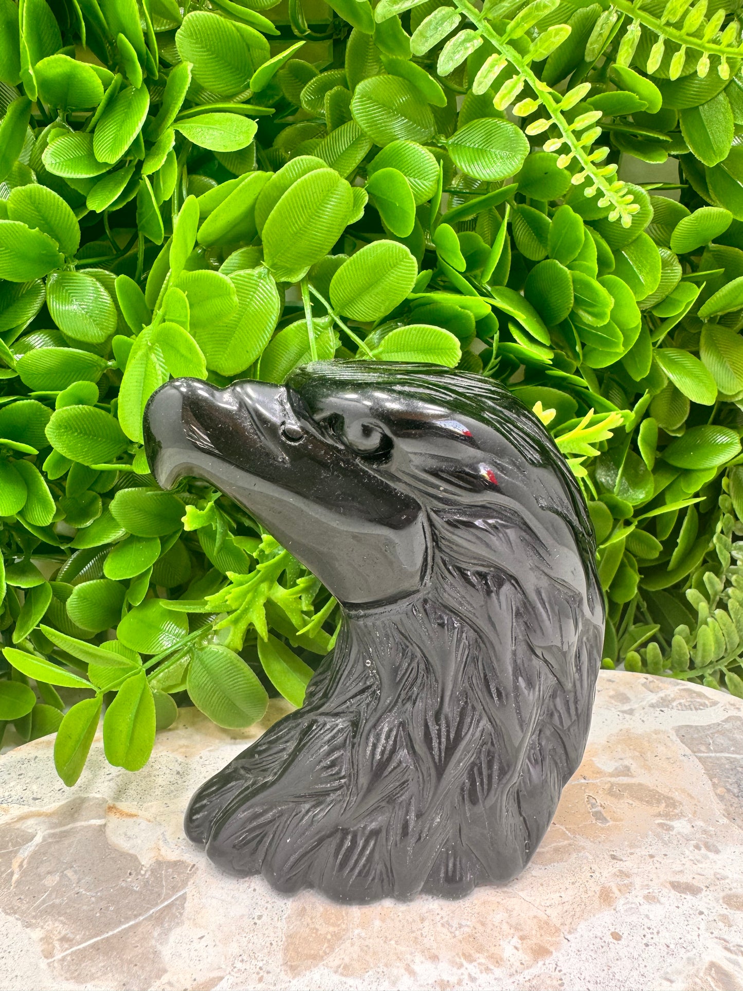 Black Obsidian Eagle 634g