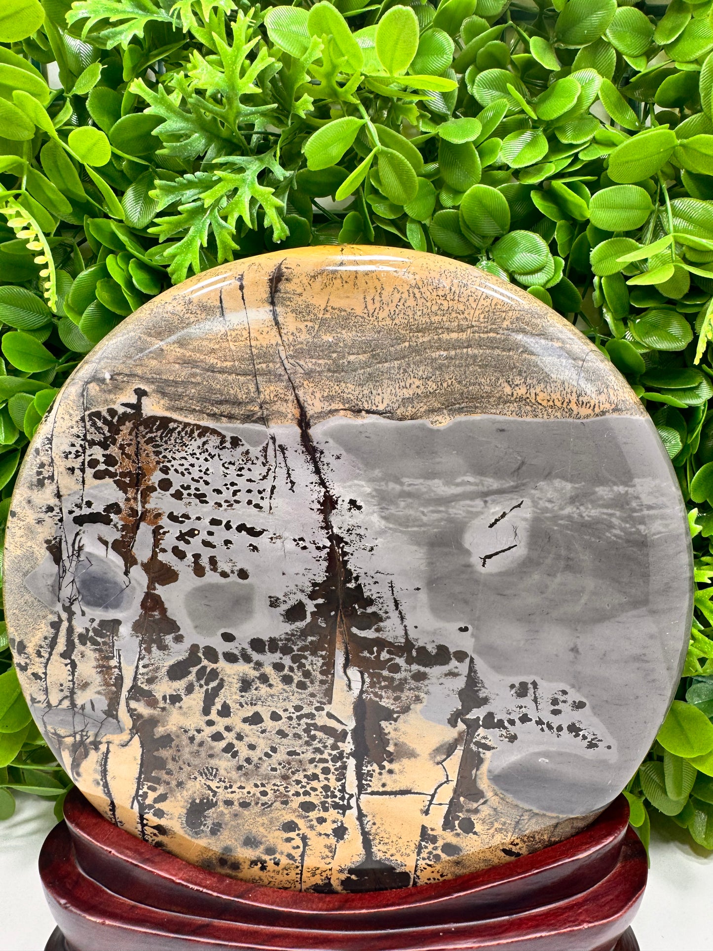 Picture Jasper in Frame 3452g