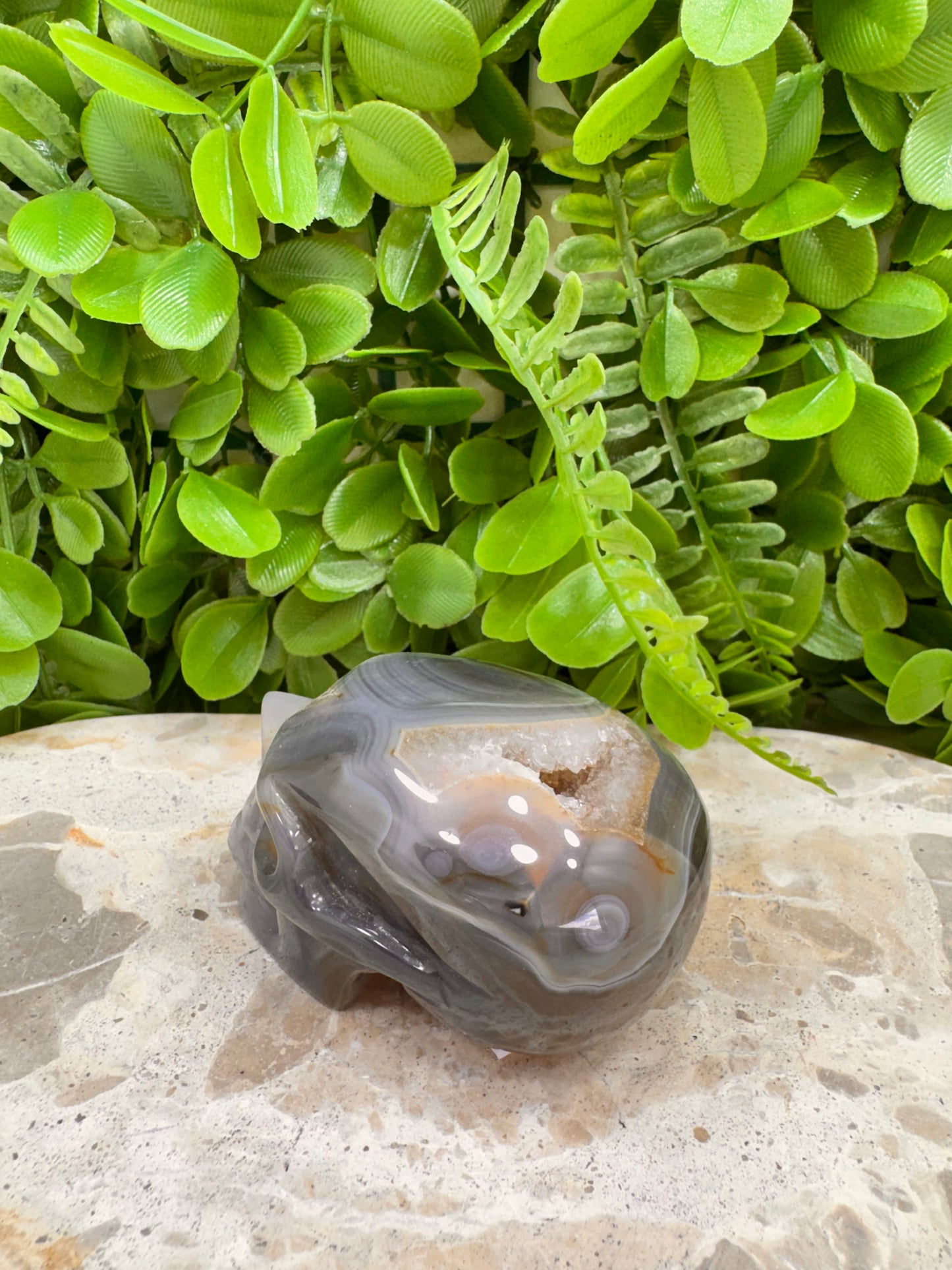Agate Druzy Skull 262g