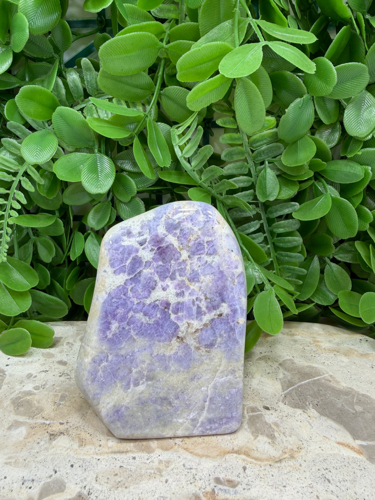 Hackmanite UV Freeform 352g