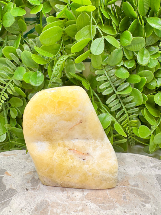 Brucite Freeform 518g