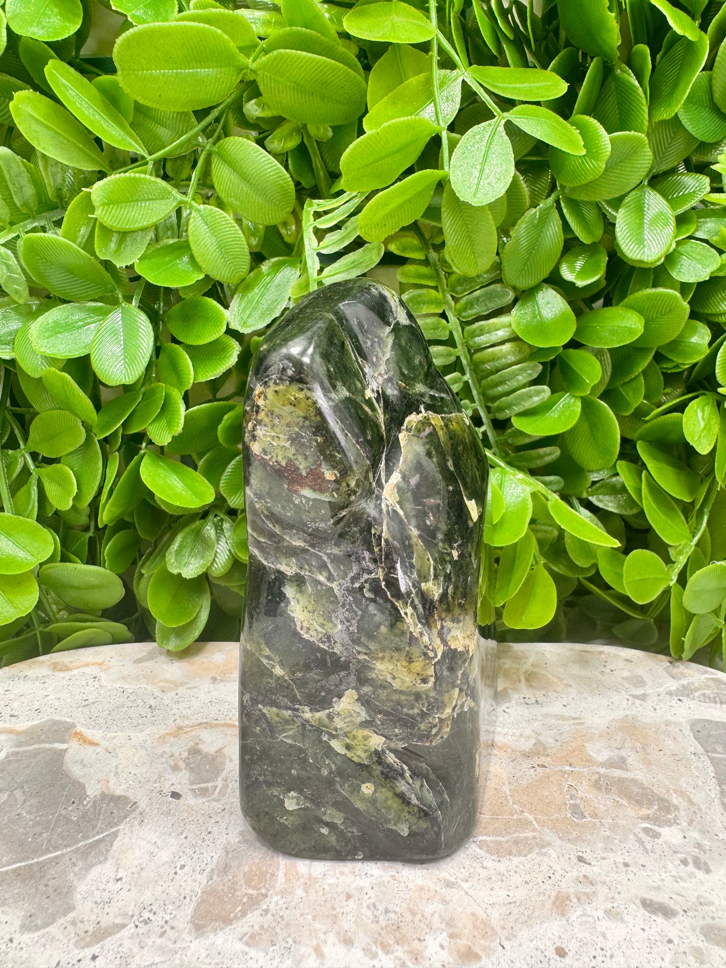 Nephrite Jade Freeform 644g