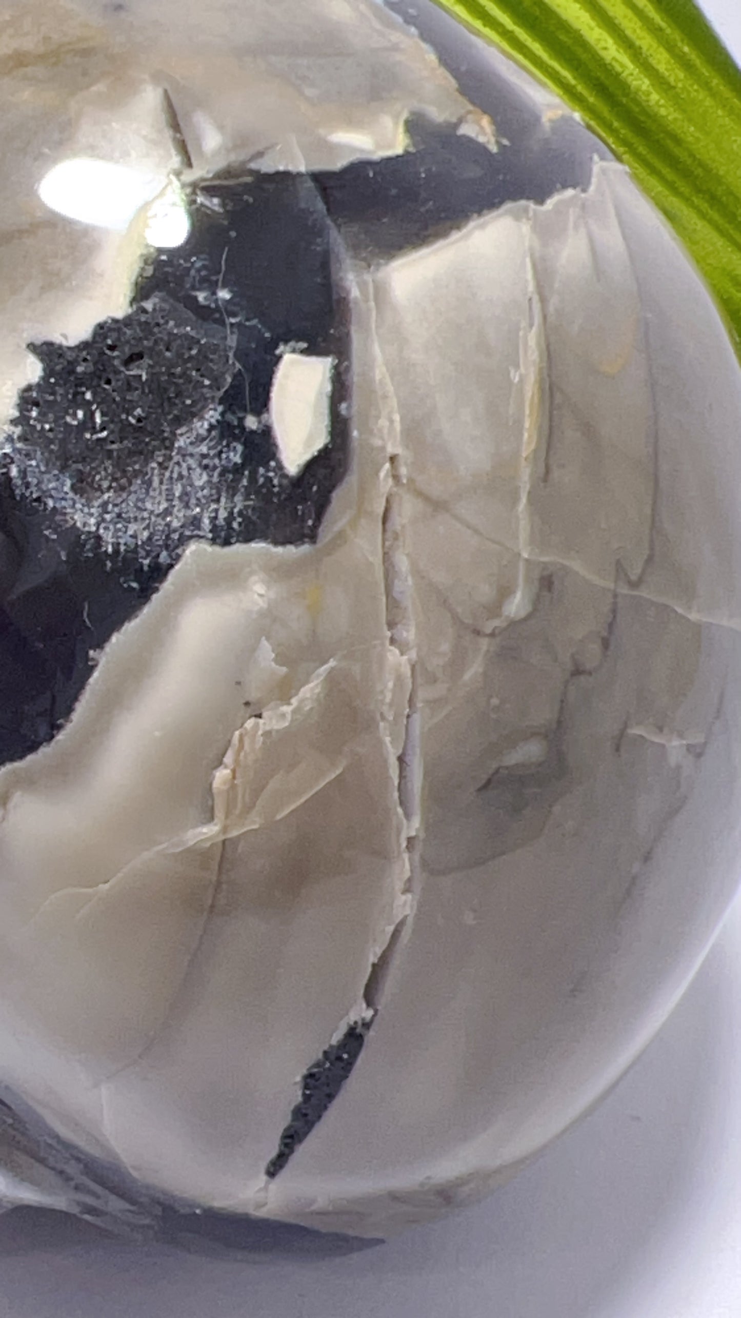 Volcanic Agate Skull 1156g