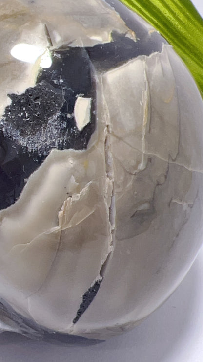 Volcanic Agate Skull 1156g
