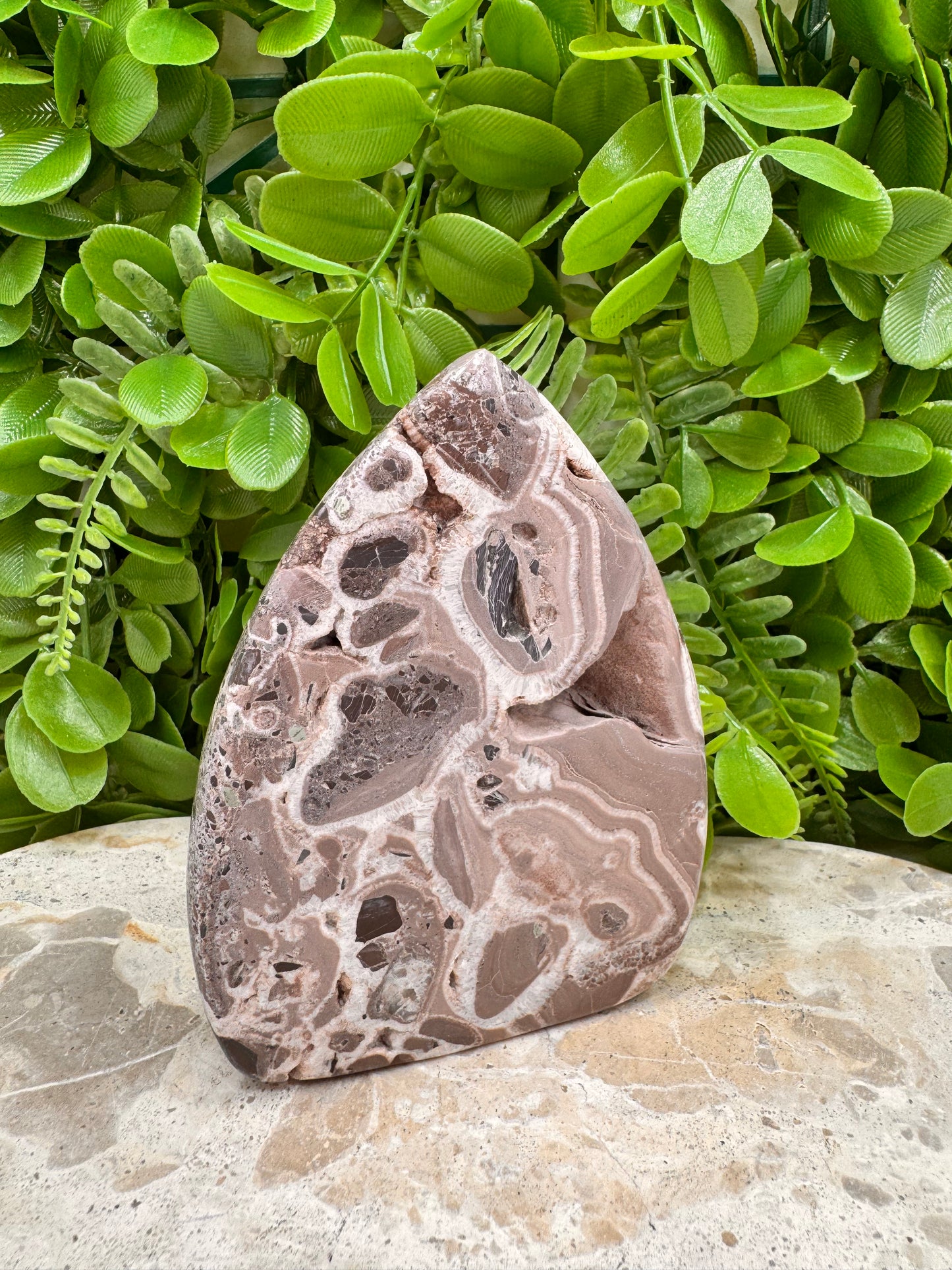 Chocolate Aragonite Freeform 444g