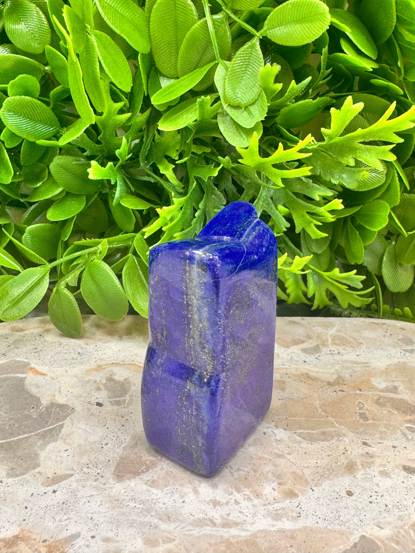 Lapis Lazuli Freeform 202g