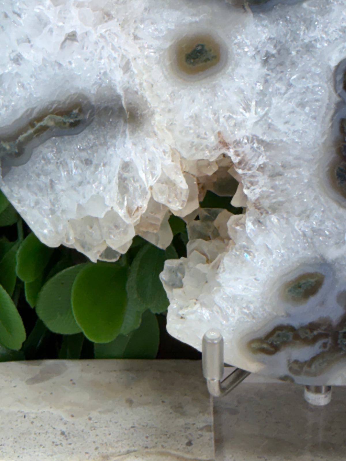 Moss Agate Moon | Growth • Abundance • Grounding