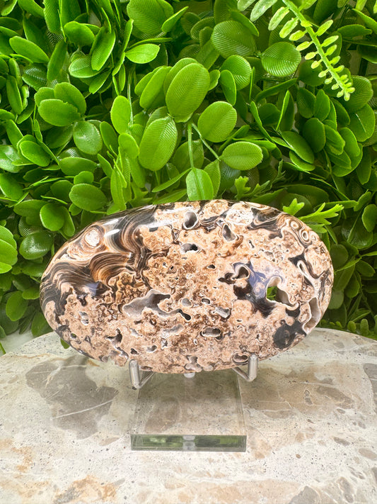Chocolate Calcite Palm Stone  346g