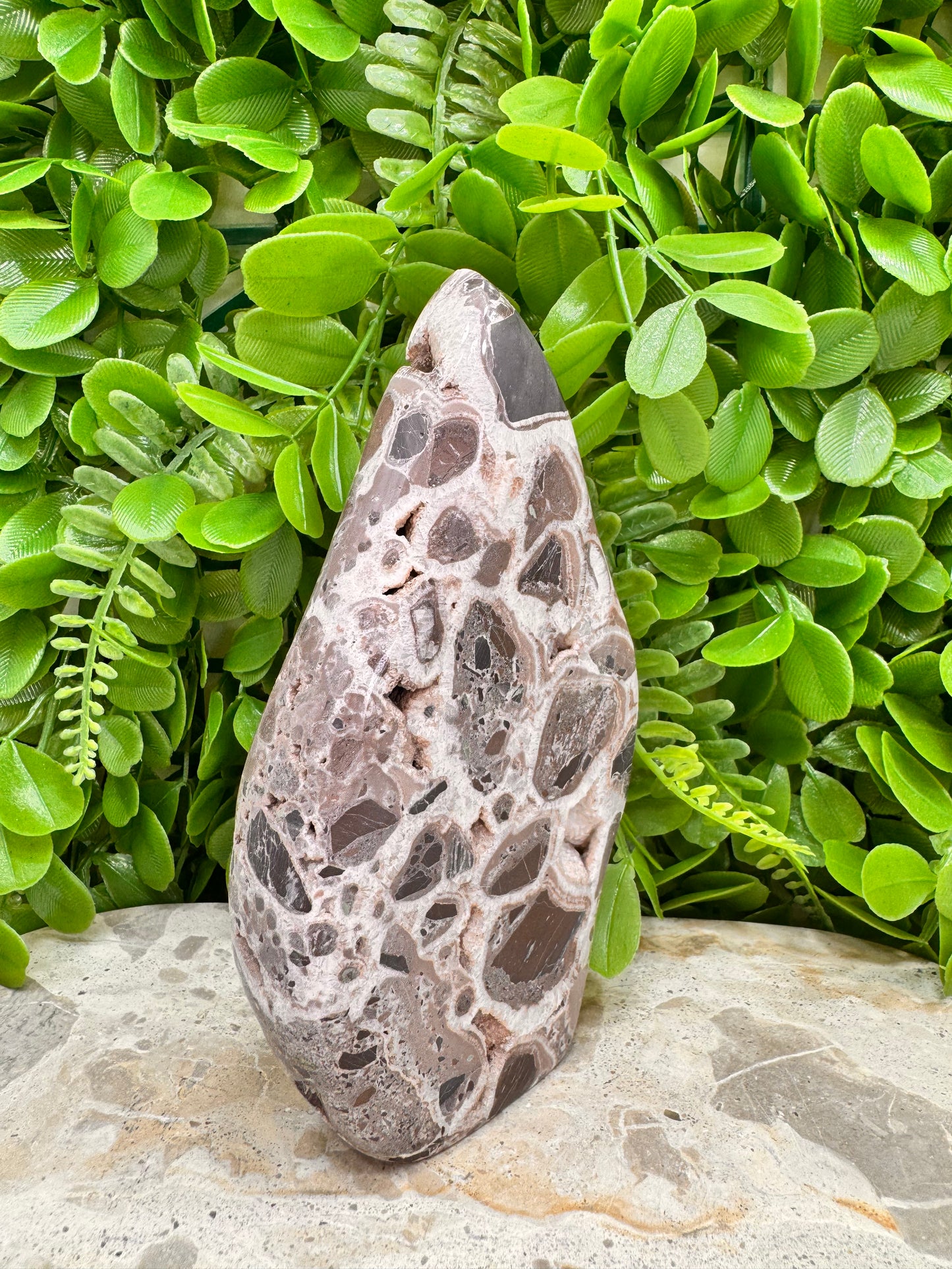 Chocolate Aragonite Freeform 544g