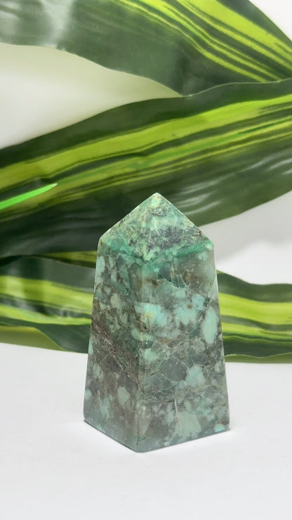 Turquoise Pt 142g