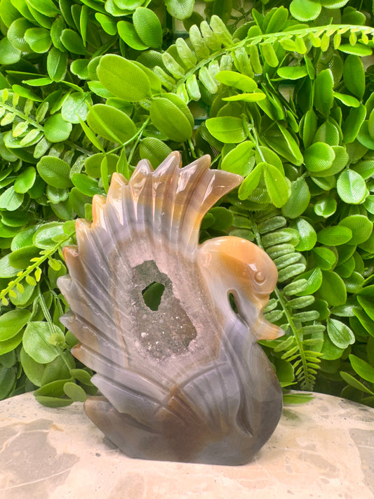 Agate Druzy Swan 312g