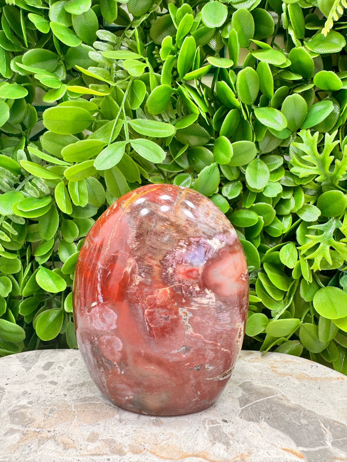 Petrified Wood Freeform 1028g