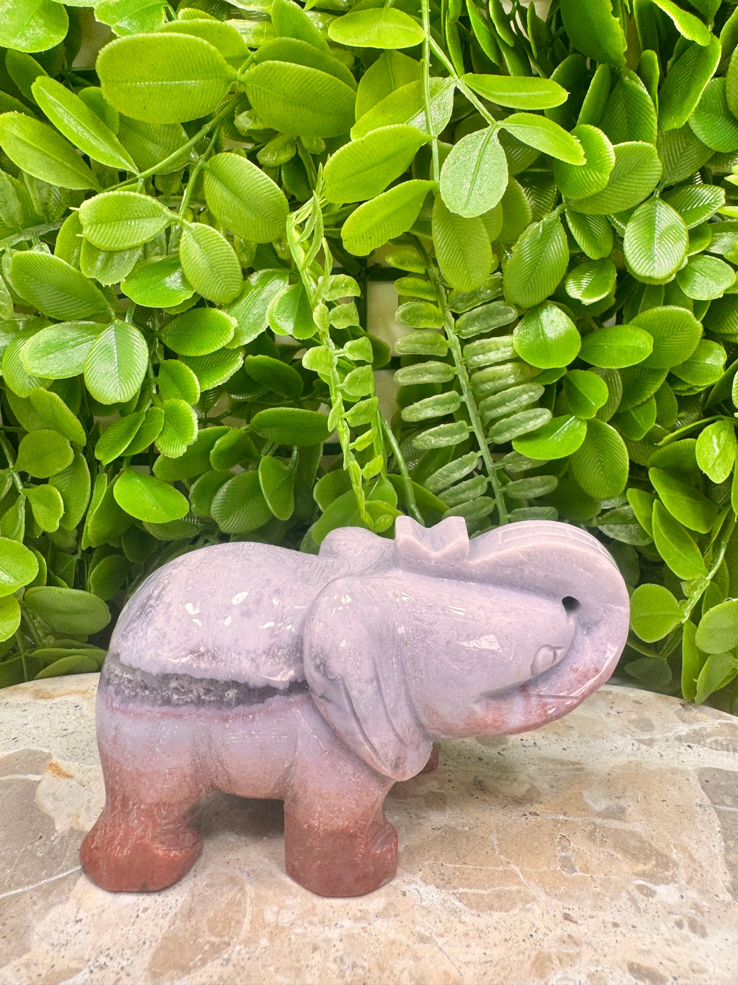 Ocean Jasper Elephant 442g