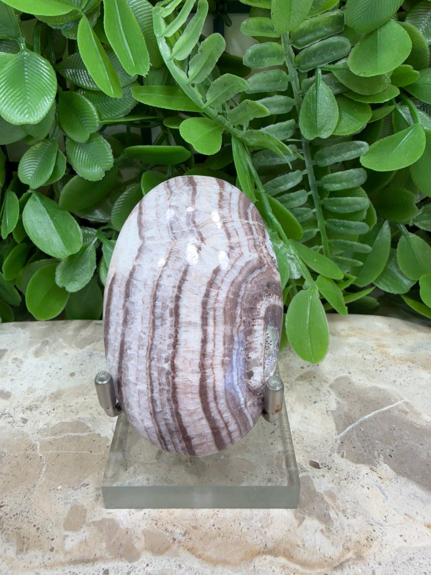 Chocolate Aragonite Palm Stone 84g