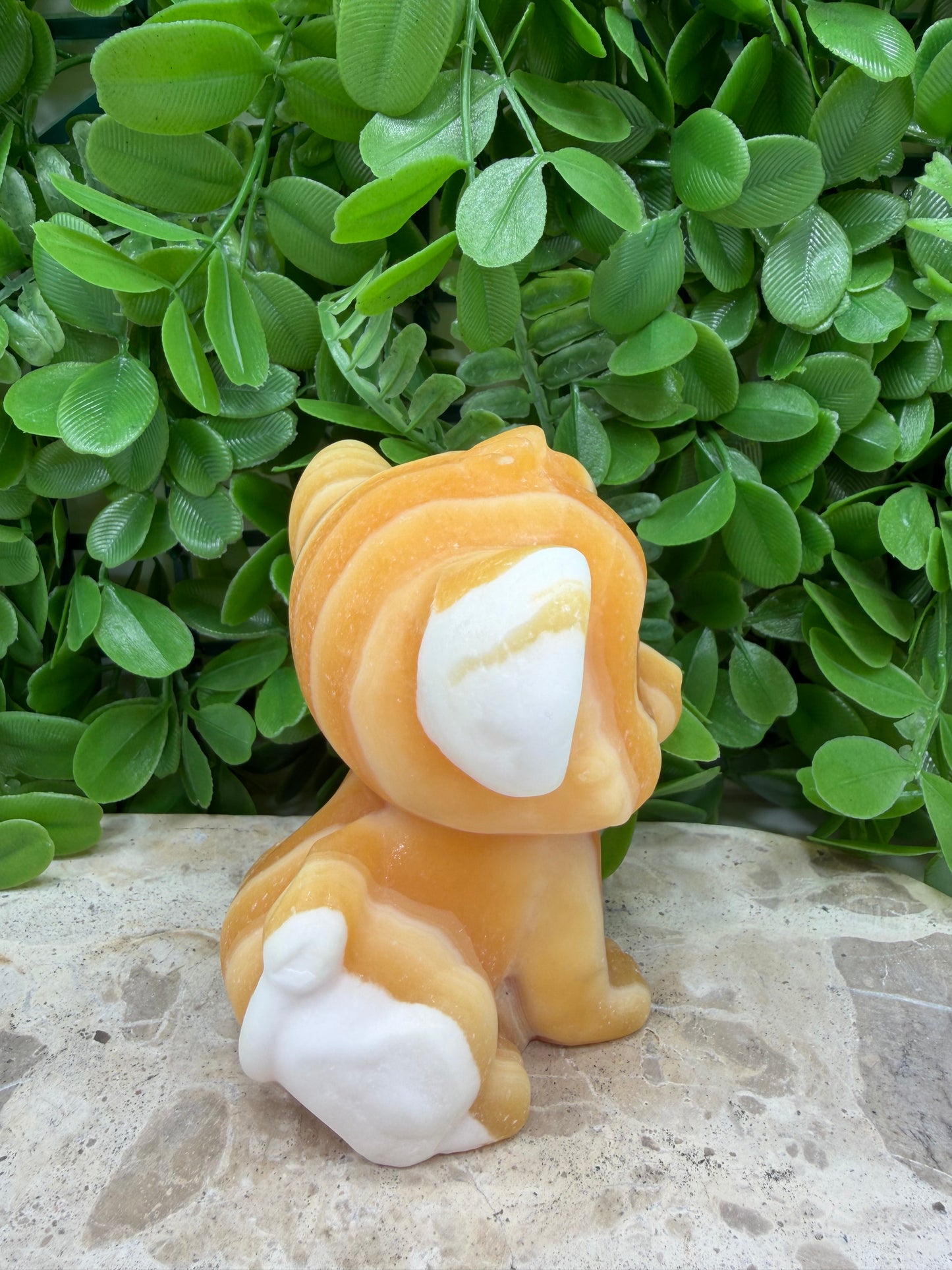 Orange Banded Calcite Lion Cub 554g