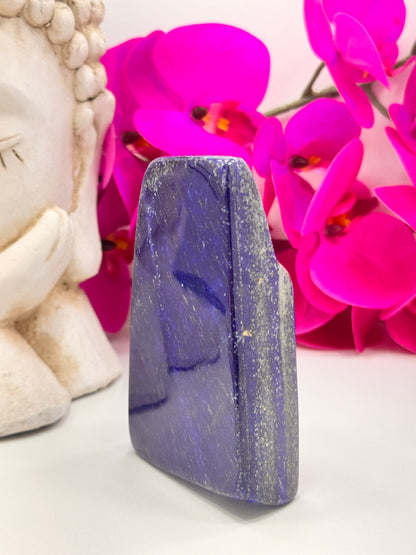 Lapis Lazuli Freeform 648g