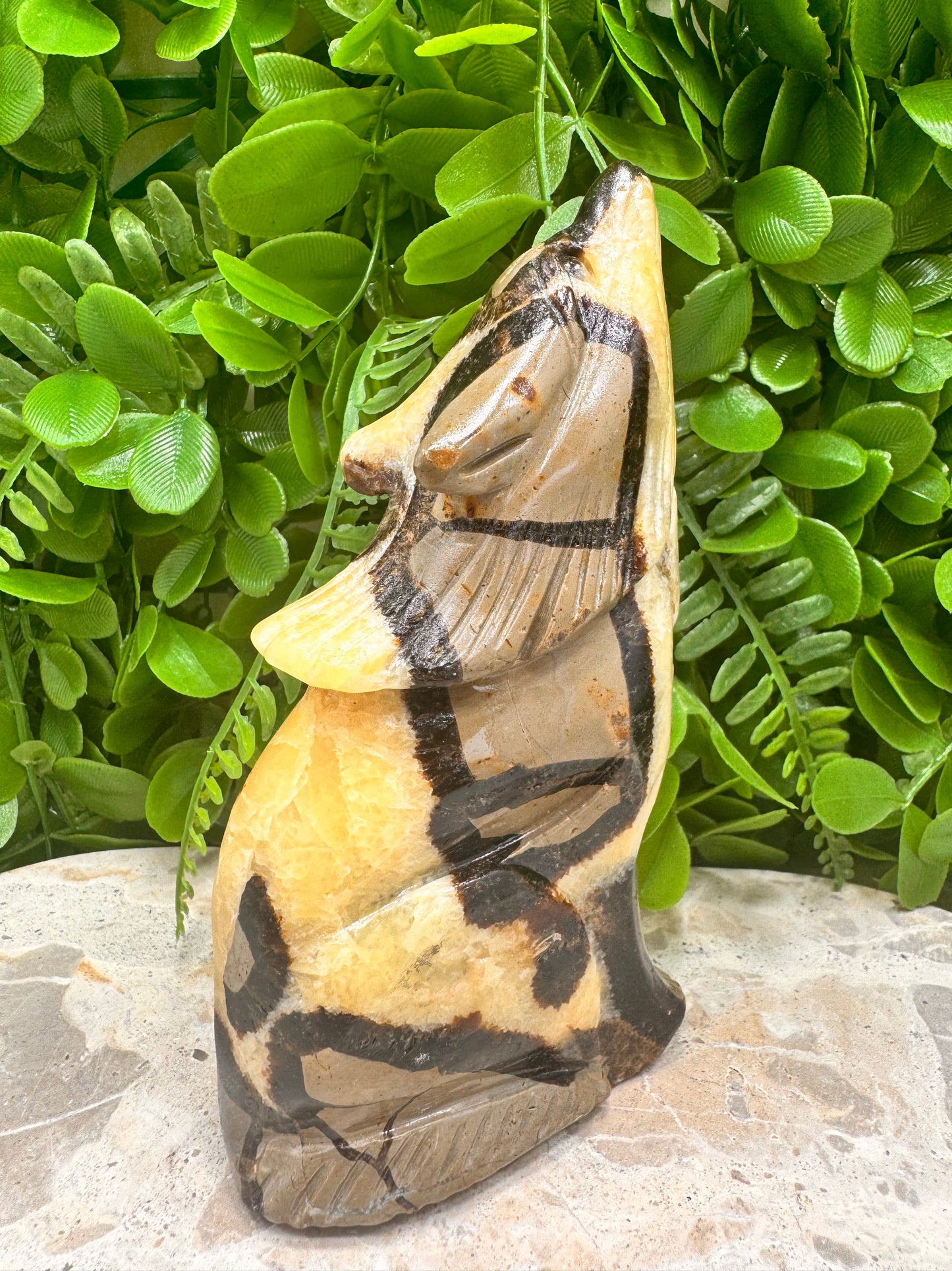 Septarian Dragon Stone 579g