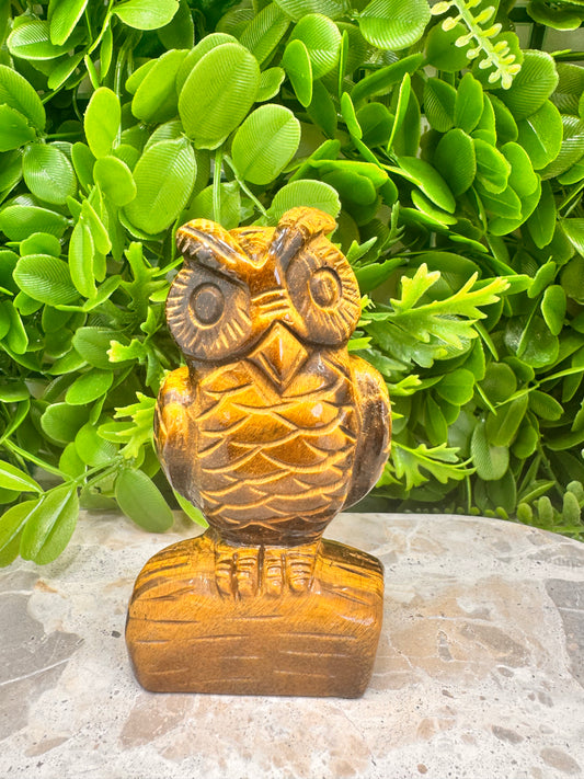 Tiger Eye Owl on A log 370g