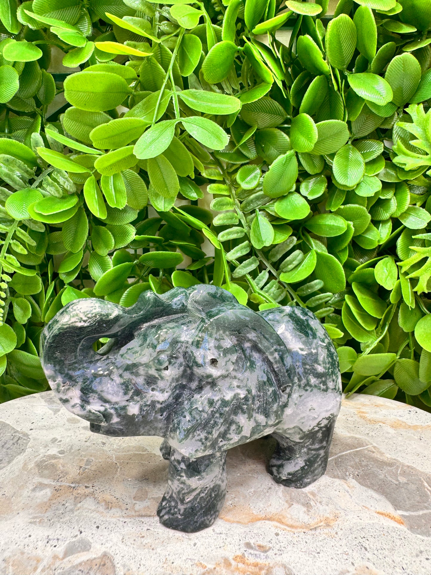 Moss Agate Elephant 532g