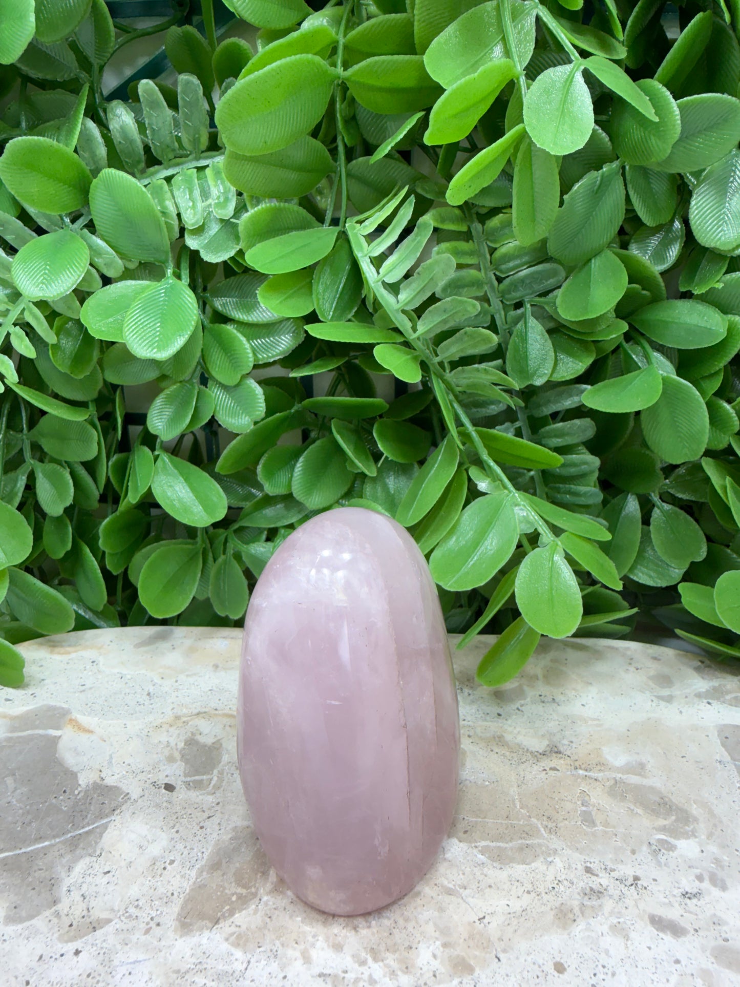 Lavender Rose Quartz Freeform 230g