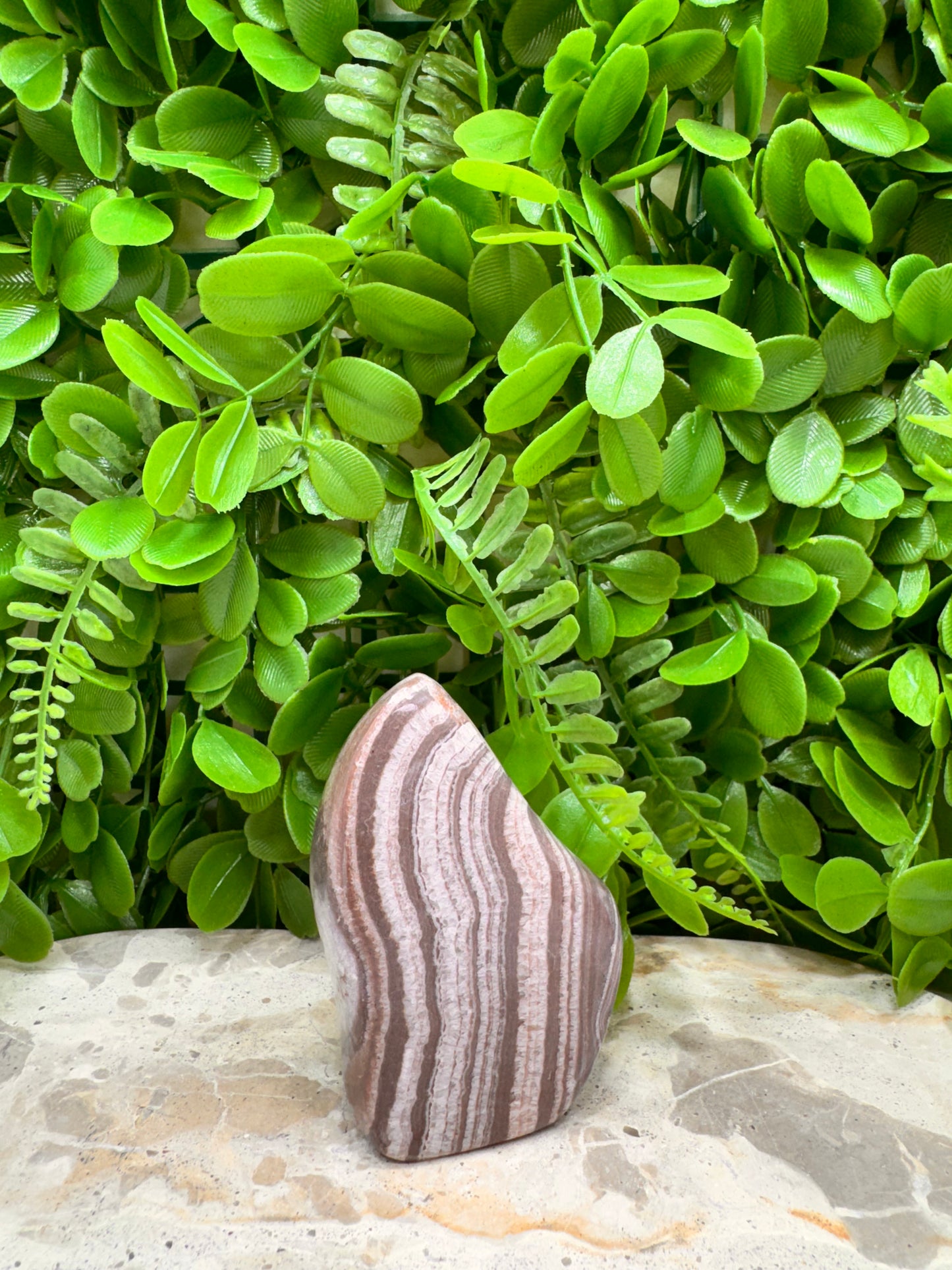 Chocolate Aragonite Freeform 204g