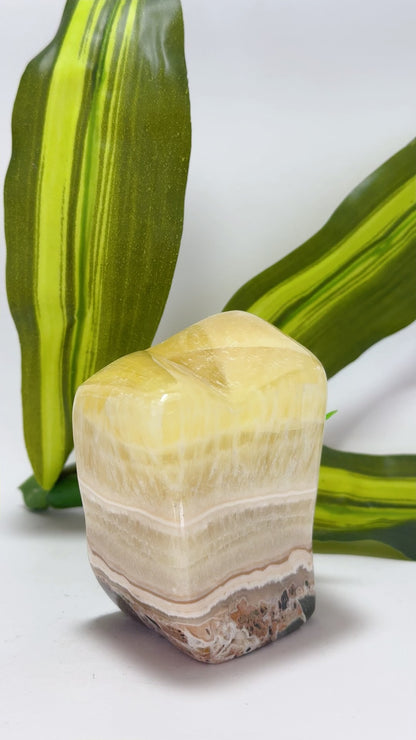 Pineapple Calcite Freeform 524g