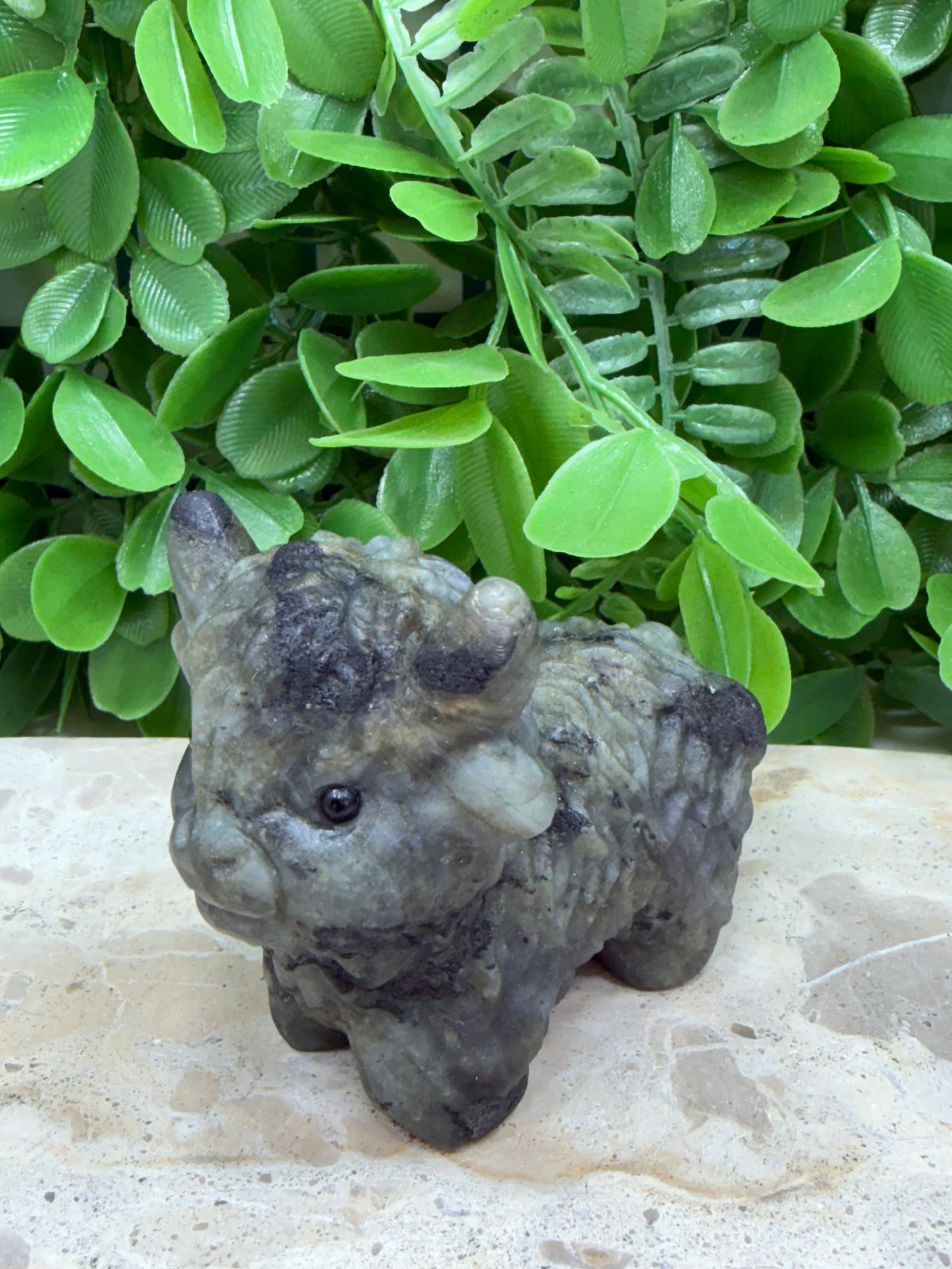 Labradorite Highland Cow 274g | Protection • Intuition • Transformation